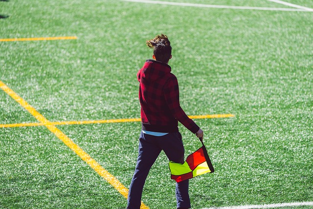 继续发挥整 继续发挥整