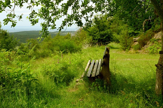 和攻防转换 和攻防转换