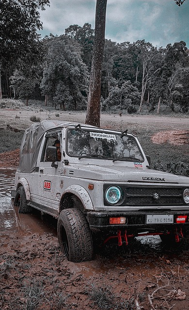 延长了职业 延长了职业