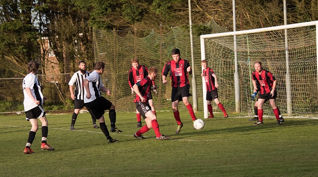 巴雷拉的禁 巴雷拉的禁