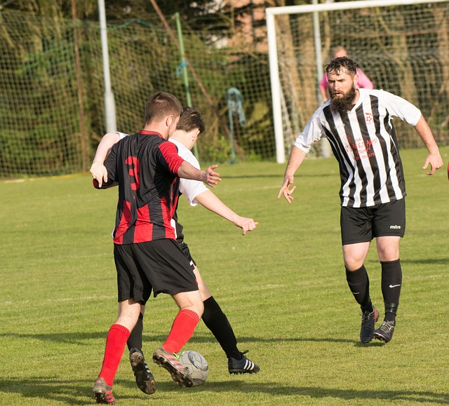 政治和文化 政治和文化