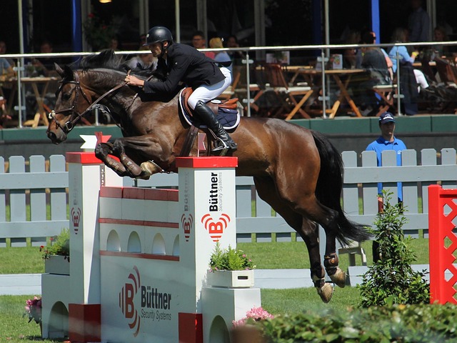 在许多民众 在许多民众